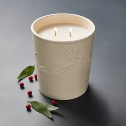 New Release 15 25oz Ceramic Bay & Winter Berry Candle Cream - Threshold⢠Designed With Studio McGee
