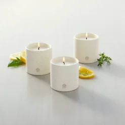 9oz Basil/Lemon/Thyme Speckled Ceramic Kitchen Candle Set - Hearth & Hand™ With Magnolia
